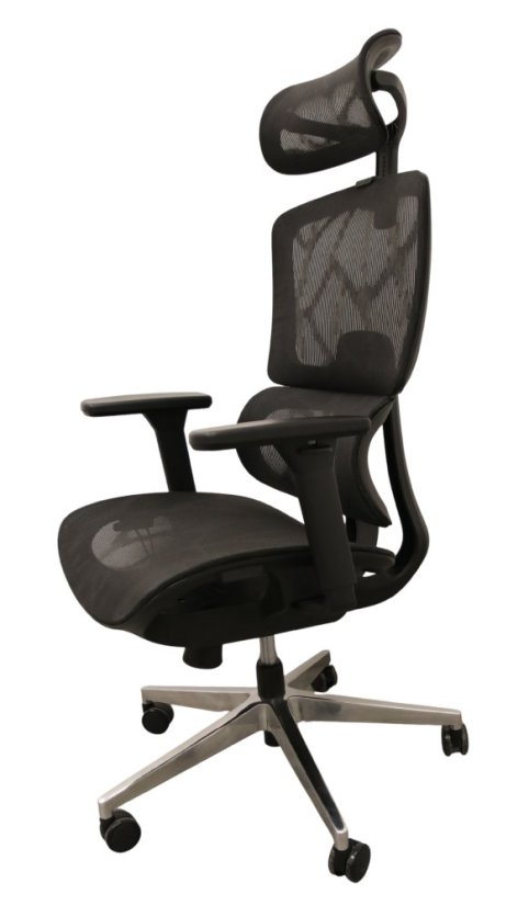 Ergonomická kancelářská židle síťovaná - Barva: černá